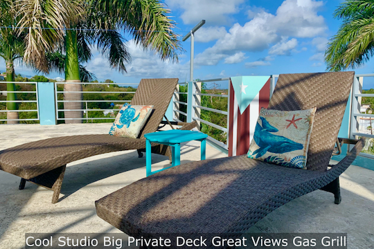 Cool Studio Big Private Deck Great Views Gas Grill